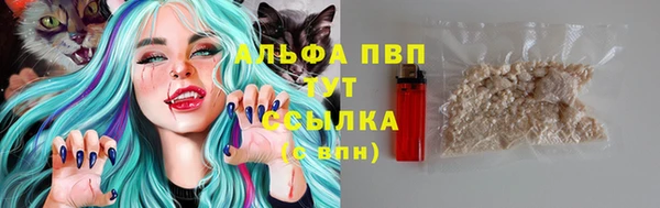 PSILOCYBIN Алзамай