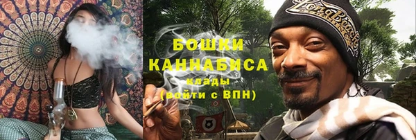 PSILOCYBIN Алзамай