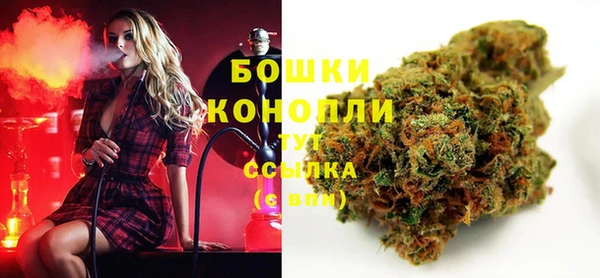 PSILOCYBIN Алзамай