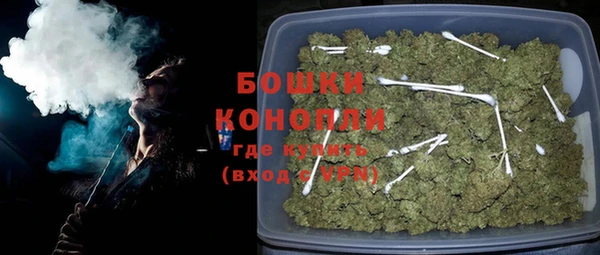 PSILOCYBIN Алзамай