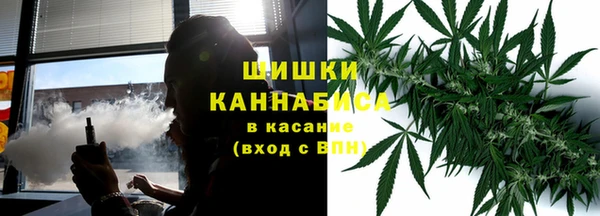 PSILOCYBIN Алзамай