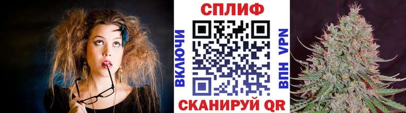 наркотики  Петровск  Каннабис семена 